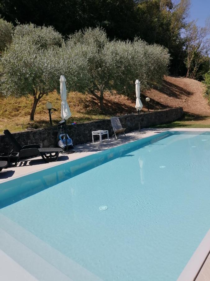 איסאו B&B Ronco Degli Ulivi מראה חיצוני תמונה