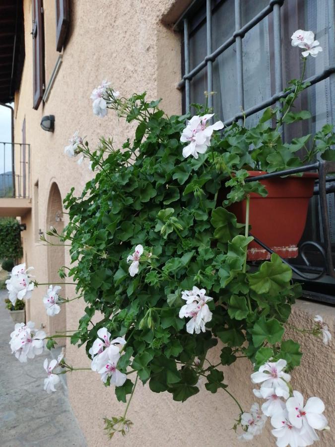 איסאו B&B Ronco Degli Ulivi מראה חיצוני תמונה