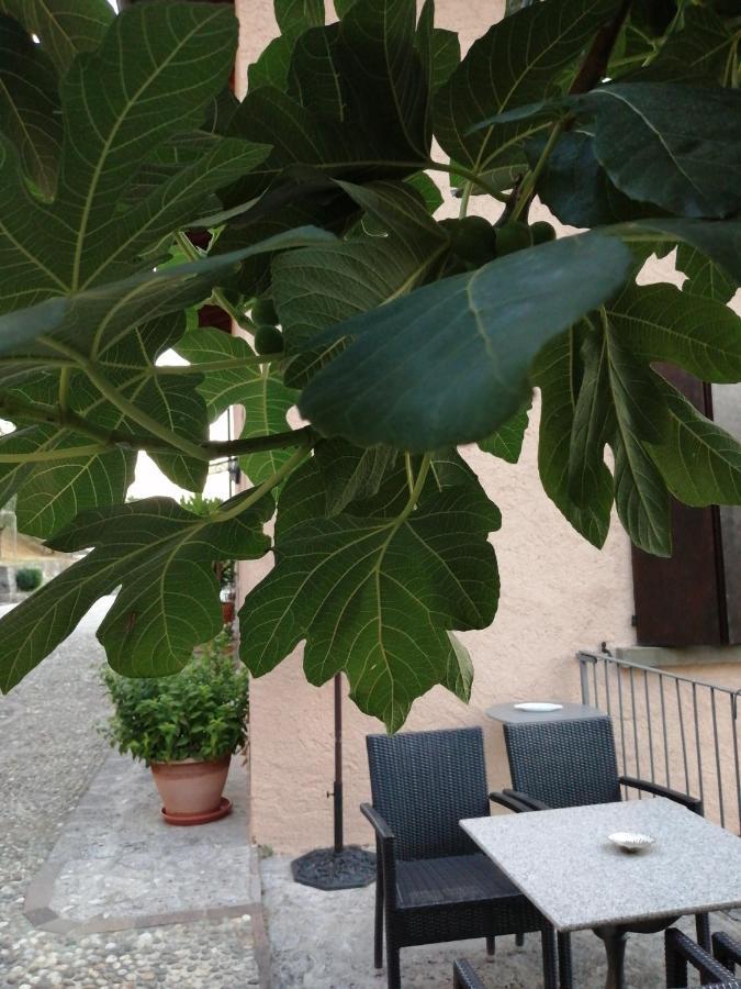 איסאו B&B Ronco Degli Ulivi מראה חיצוני תמונה